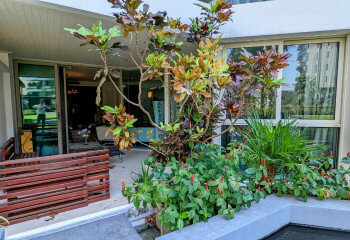 Кондоминиум в Банг Ламунге, Таиланд | THE139449