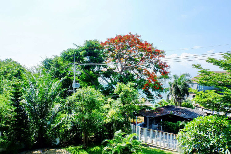 Кондоминиум в Паттайе, Таиланд | THE527709