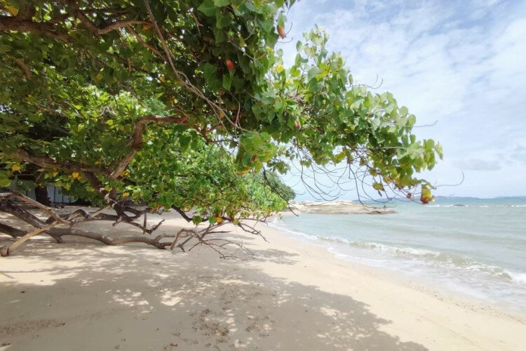 Кондоминиум в Банг Ламунге, Таиланд | THE339611