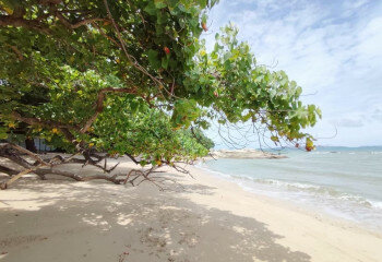 Кондоминиум в Банг Ламунге, Таиланд | THE339611