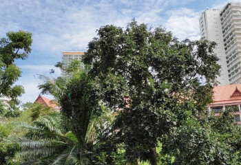 Кондоминиум в Банг Ламунге, Таиланд | THE539273