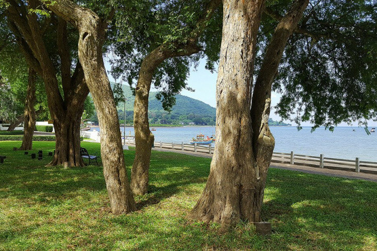 Кондоминиум в Саттахипе, Таиланд | THE138887