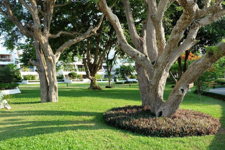 Кондоминиум в Саттахипе, Таиланд | THE138887