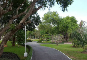 Кондоминиум в Саттахипе, Таиланд | THE138887