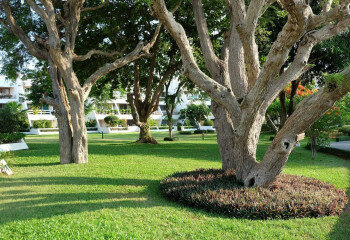 Кондоминиум в Саттахипе, Таиланд | THE138887