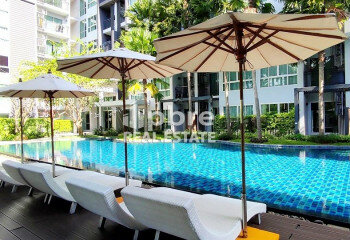 Кондоминиум в Банг Ламунге, Таиланд | THE439446