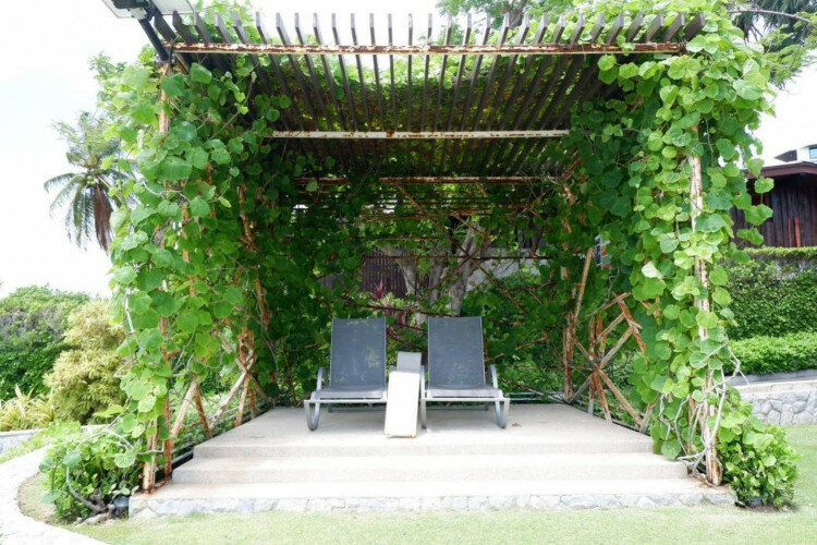 Кондоминиум в Банг Ламунге, Таиланд | THE339856