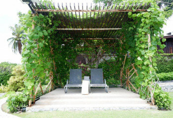 Кондоминиум в Банг Ламунге, Таиланд | THE339856