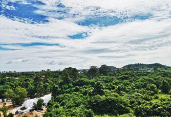 Кондоминиум в Саттахипе, Таиланд | THE438436