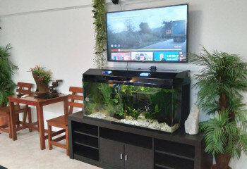 Кондоминиум в Банг Ламунге, Таиланд | THE238820