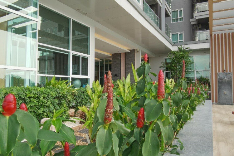 Кондоминиум в Сирачае, Таиланд | THE438958