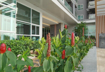 Кондоминиум в Сирачае, Таиланд | THE438958