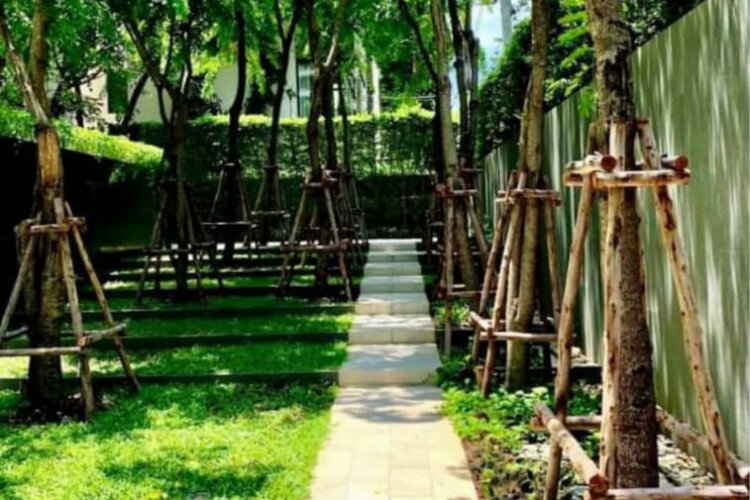 Кондоминиум в Бангкоке, Таиланд | THE441464