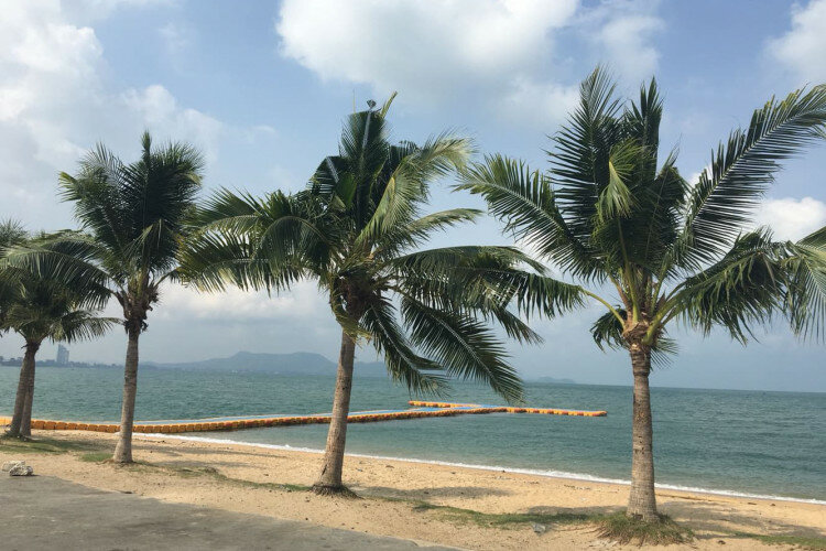 Кондоминиум в Банг Ламунге, Таиланд | THE439129