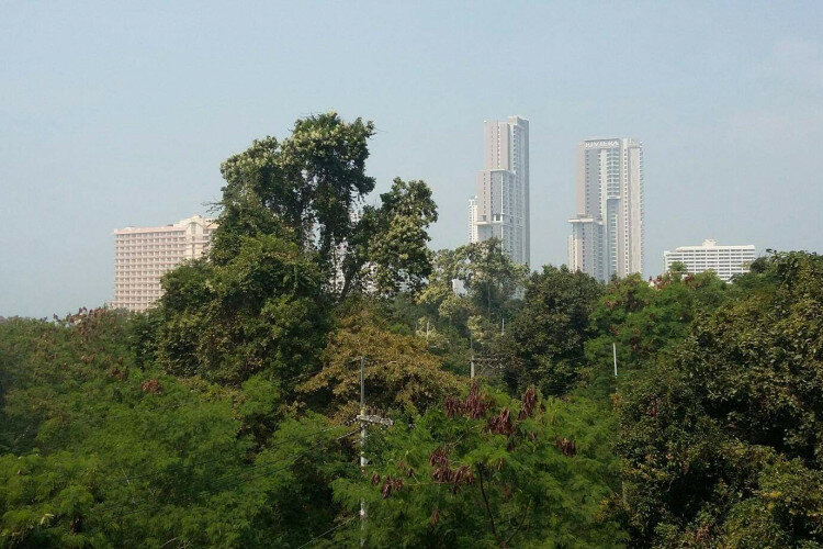 Кондоминиум в Банг Ламунге, Таиланд | THE538646