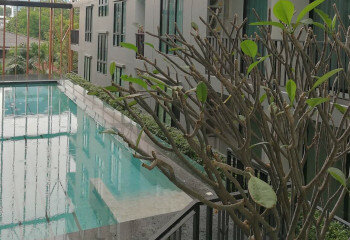 Кондоминиум в Бангкоке, Таиланд | THE532641