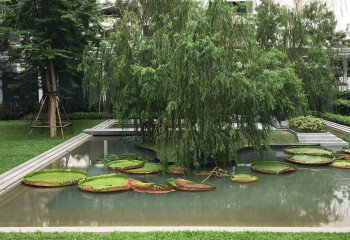 Кондоминиум в Бангкоке, Таиланд | THE414394