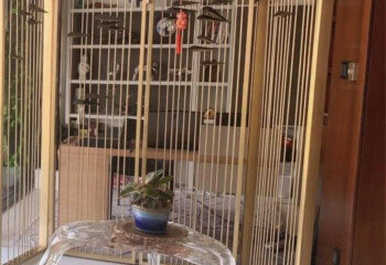 Кондоминиум в Бангкоке, Таиланд | THE146198