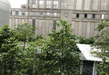 Кондоминиум в Бангкоке, Таиланд | THE115250