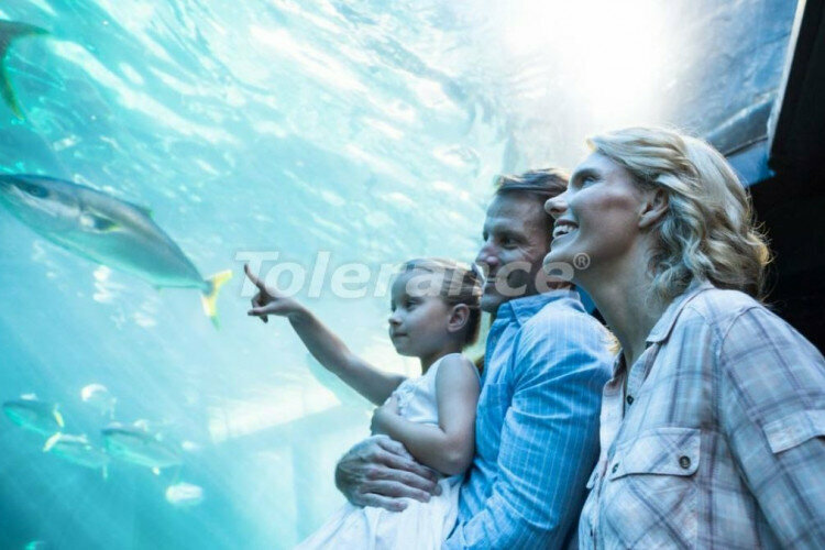 Квартира 2+1 в Измире, Турция | PKK-04351