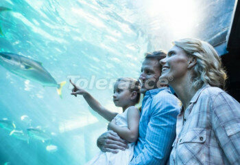 Квартира 2+1 в Измире, Турция | PKK-04351