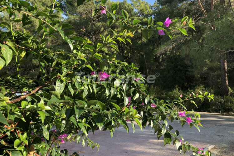 Квартира 2+1 в Кемере, Турция | PTE-04749