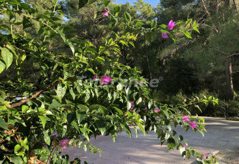 Квартира 2+1 в Кемере, Турция | PTE-04749