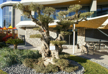 Квартира 1+1 в Анталии, Турция | PKK-44941