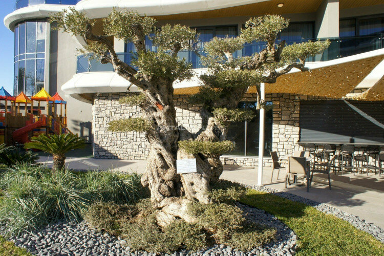 Квартира 2+1 в Анталии, Турция | STE-44942