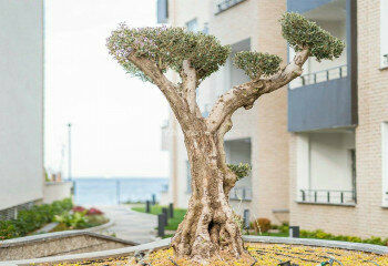 Квартира 2+1 в Ялове, Турция | PTE-46936