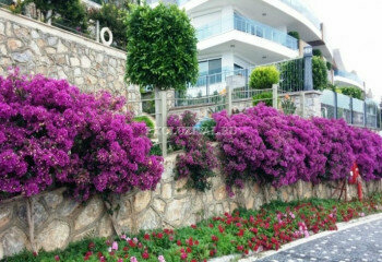 Квартира 1+1 в Алании, Турция | PTE-10658