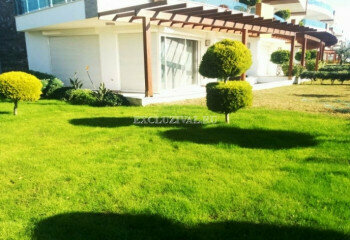 Квартира 1+1 в Алании, Турция | PTE-10658