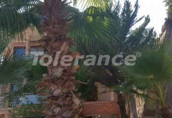 Квартира 2+1 в Кемере, Турция | STE-34966