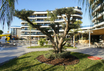 Квартира 1+1 в Махмутларе, Алания, Турция | PTE-43247